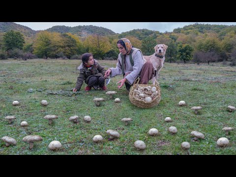 Видео: Здоровый гурман, вкуснее колбасы, со свежими грибами, которые я собрала в горах.