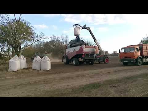 Видео: Ставрополье 2024@сев озимых@Ипатовский метод