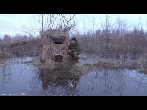 Видео: Весенняя охота на селезня с подсадной уткой.15.