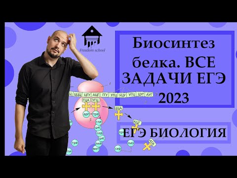 Видео: Все задачи на СИНТЕЗ БЕЛКА ЕГЭ 2023 |ЕГЭ БИОЛОГИЯ|Freedom|