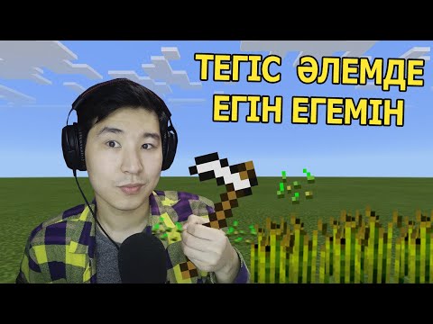 Видео: Тегіс әлемде егін шаруашылығы 🍞