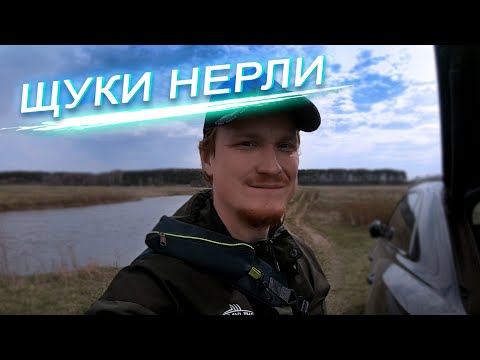 Видео: Вылазка на реку со спиннингом.Щуки Нерли. Крупный силикон ловит любую щуку