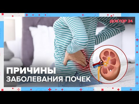 Видео: Из-за чего возникают проблемы с ПОЧКАМИ? ТЕМЫ НЕДЕЛИ | Доктор 24
