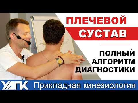 Видео: Полный алгоритм диагностики плеча (М.Савиных)