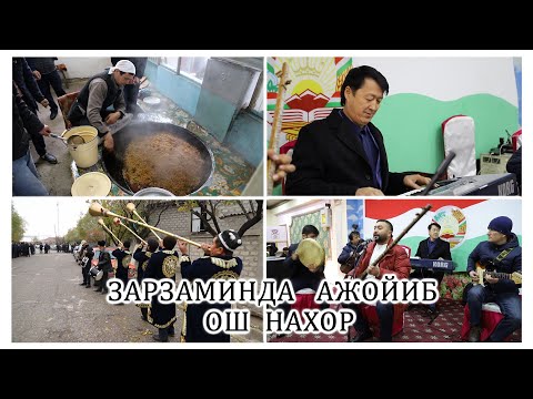 Видео: ОШ  НАХОР  ЗАРЗАМИНДА  КУП  САНЪАТКОР  ПОВИР КАРНАКЧИЛАР  ИШТИРОКИДА