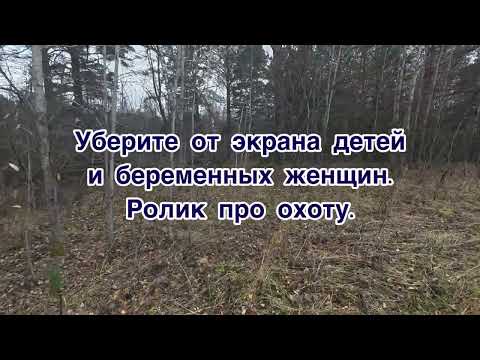 Видео: 20 калибр, трудовой заяц. Слабонервным не смотреть!