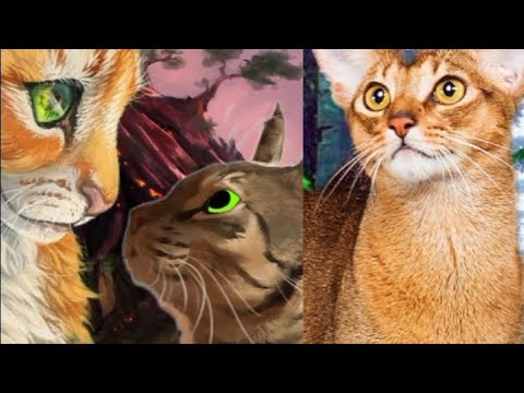 Видео: Коты Воители — Путь Древесного племени пролог/часть 1