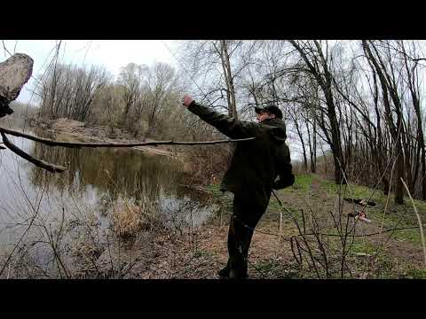 Видео: Джиг с Берега  ! Трофейный Судак Весной р.Десна