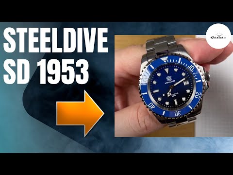 Видео: ЕСЛИ НАДО ПОКРУПНЕЕ / Steeldive 1953 / $80