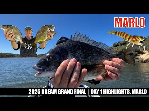 Видео: 2025 BREAM Grand Final, день 1, лучшие моменты в Марло