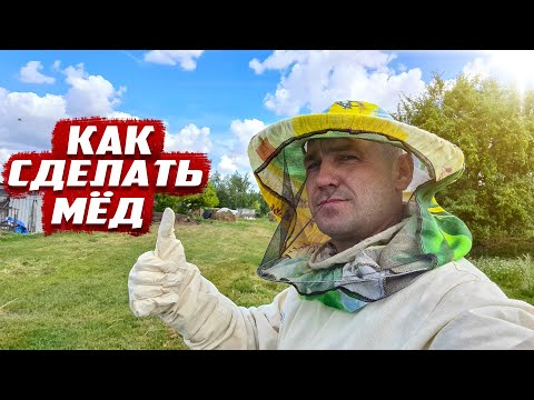 Видео: Как сделать мёд? Родная деревня Удеревка