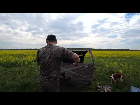 Видео: Обзор скрадка фирмы Ameristep