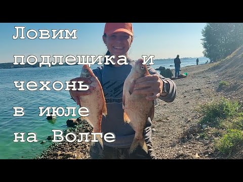 Видео: Ловим подлещика и чехонь в июле на Волге