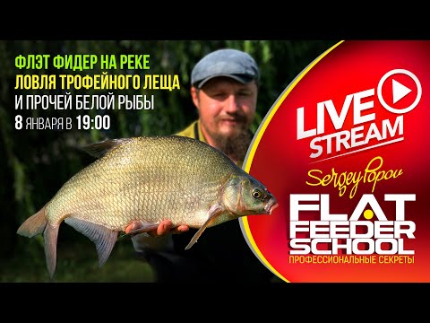 Видео: ФЛЭТ ФИДЕР на реке / Ловля крупного леща / #28 Лекция / FLAT FEEDER SCHOOL