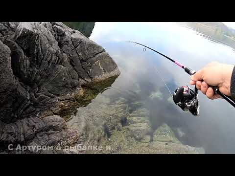Видео: Неожиданый улов перед завтраком Норвегия