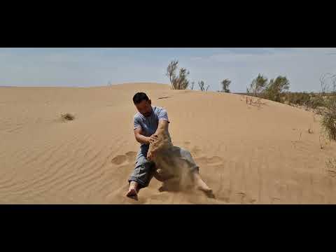 Видео: Қызылқұм шөлі