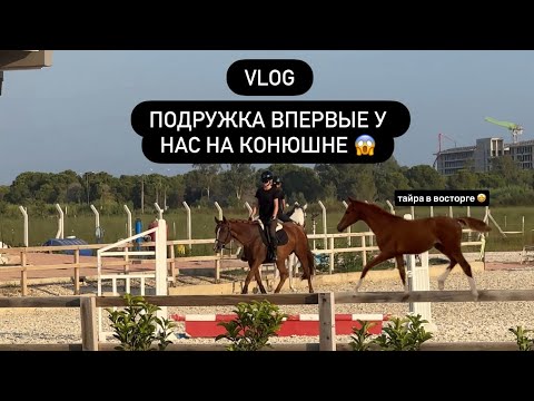 Видео: ВЛОГ с подругой на конюшне l не виделись полгода 😱