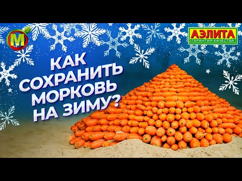 Видео: ХРАНЕНИЕ МОРКОВИ НА ЗИМУ! Способы хранения от профессора!