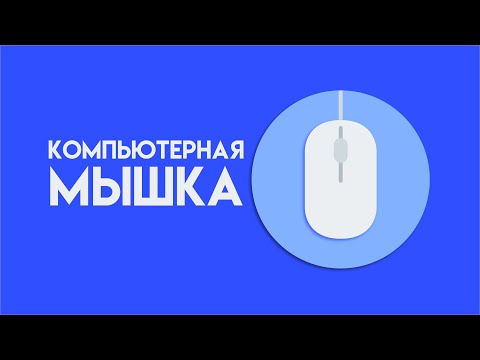 Видео: Как пользоваться компьютерной мышкой. Функции кнопок компьютерной мышки. Основы ПК