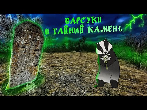 Видео: #1 Барсуки и тайный камень. Первая весенняя вылазка в лес. 2 КАДРА. Перезагрузка.