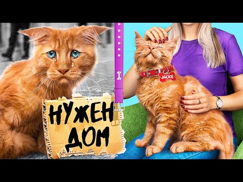 Видео: Как переделать комнату в приют для животных?