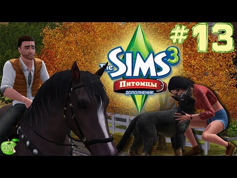 Видео: The Sims 3 Питомцы #13 Беременная