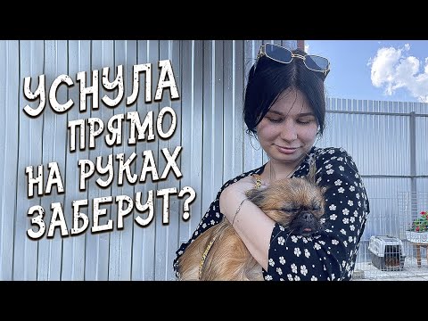 Видео: Спасение животных / Она отказалась от нас когда увидела их...