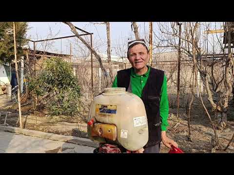 Видео: +998781470500. ИФО. БОРДА .ТЕЗ ЁРДАМ.БОГЛАРГА