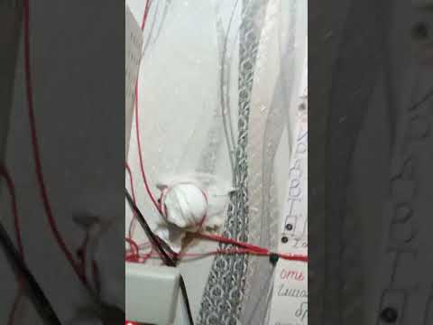 Видео: Новый рип 12 