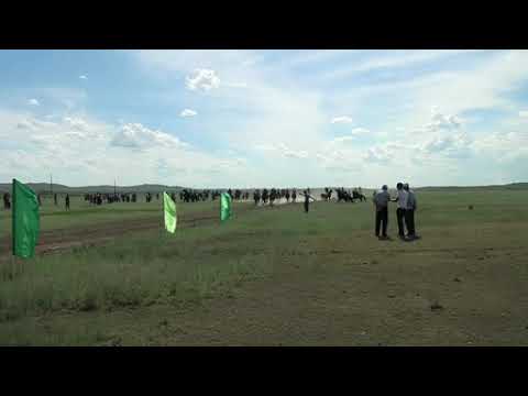 Видео: бәйге Биғаш