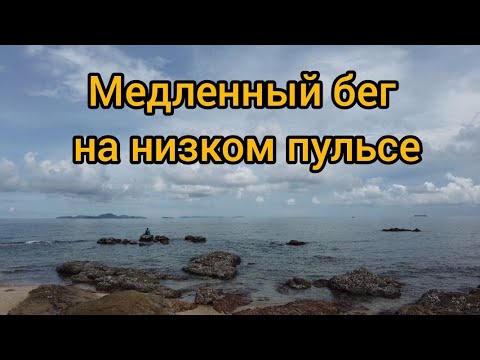Видео: Медленный бег на низком пульсе: польза для здоровья.