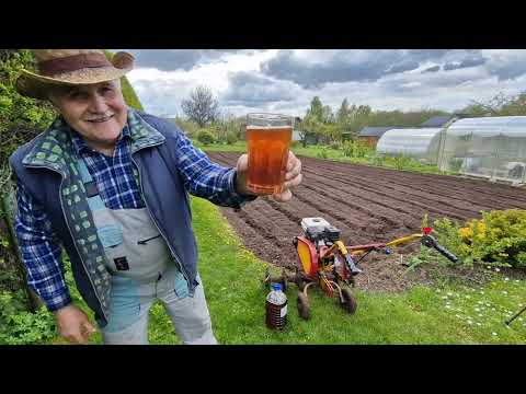 Видео: Обработка почвы лёгким мотокультиватором 2025!Cultivation of the soil with a light motor cultivator!