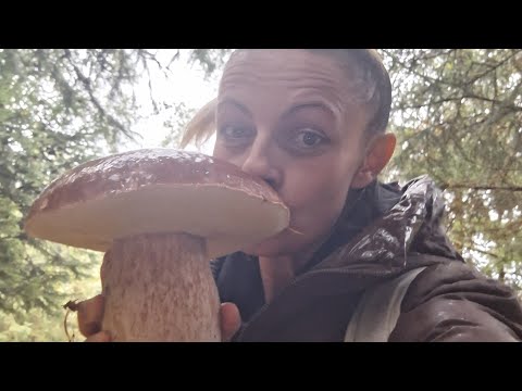 Видео: Нет - это не шок. Это - ШОКИНЕЙШИН🤦‍♀️🙆‍♀️💁‍♀️