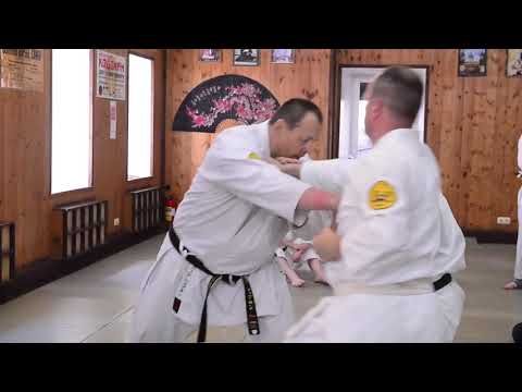 Видео: Видео по боевым искусствам от РСБИ "Окинава-каратэ"