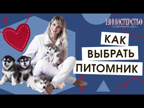 Видео: Как выбрать питомник и заводчика?