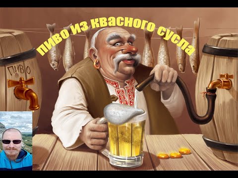 Видео: Пиво из квасного сусла