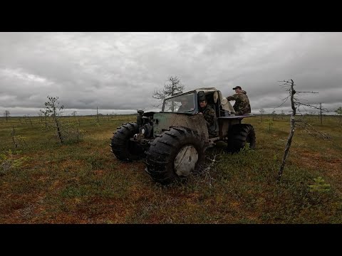 Видео: Одна ночь в тайге. Утопили каракат.