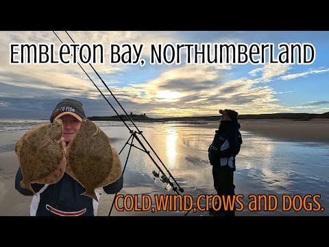 Видео: Зимняя рыбалка на крупную камбалу на пляже | Эмблтон, Нортумберленд