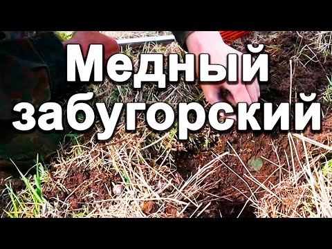 Видео: Медный забугорский