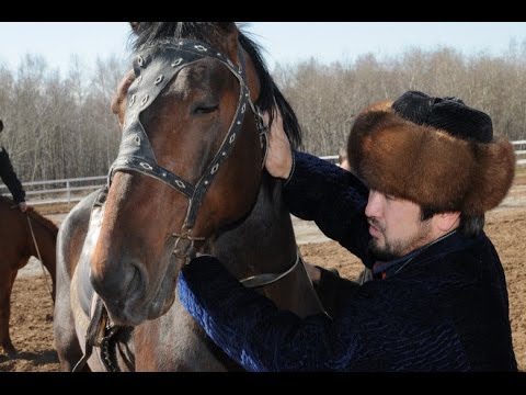 Видео: Бекболат Тілеухан: "Әкем айтқан еді..."