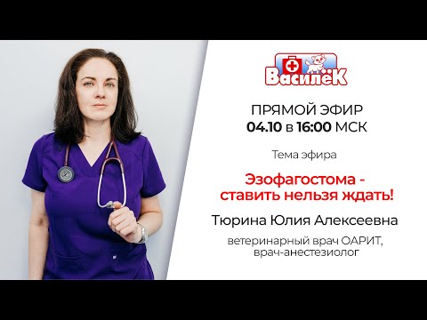 Видео: Эзофагостома - ставить нельзя ждать!