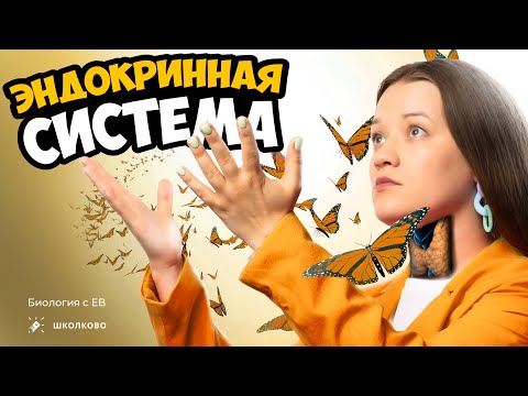 Видео: Эндокринная система человека. Серия углубленных лекций для ЕГЭ по биологии 2024