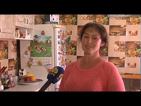 Видео: ТОО «Возвышенка-СК» из р-на им.Г.Мусрепова называют образцовым