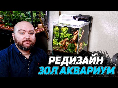 Видео: Редизайн 30л Аквариума креветочника - ошибки при запуске