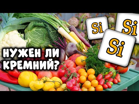 Видео: Это удобрение предложил еще Менделеев, а мы только начинаем его использовать. Кремний для растений