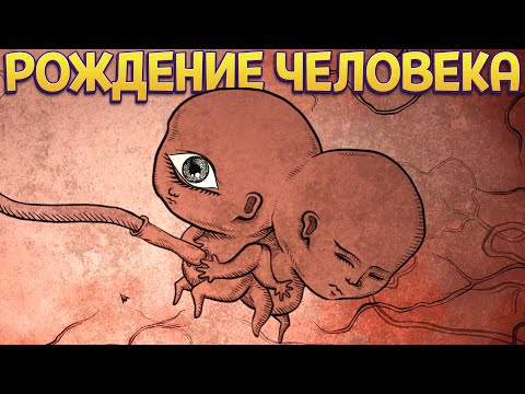 Видео: РОЖДЕНИЕ ЧЕЛОВЕКА  ( Life Gallery )