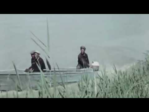 Видео: Детство