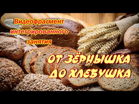 Видео: ХЛЕБ - всему голова. От зернышка до хлебушка. Видеофрагмент интегрированного урока.