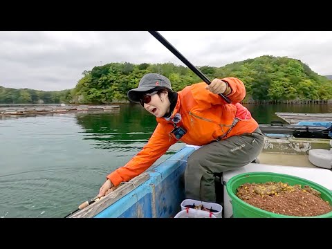 Видео: Охотьтесь на крупную рыбу на устричной ферме. Японская традиционная рыбалка