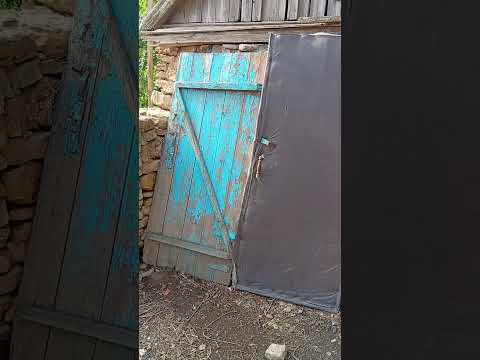 Видео: Наш птичий двор.